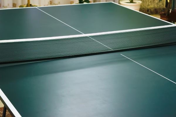 Ping Pong Table Assembly in Sandy